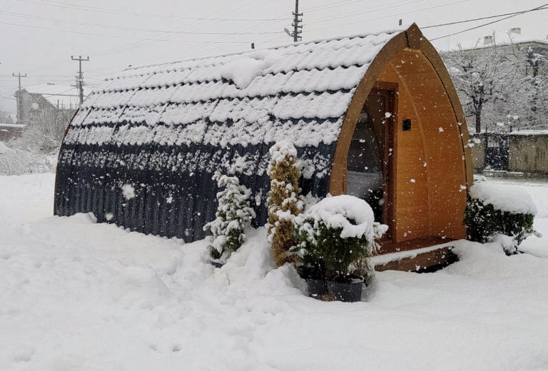 Woody dome winter